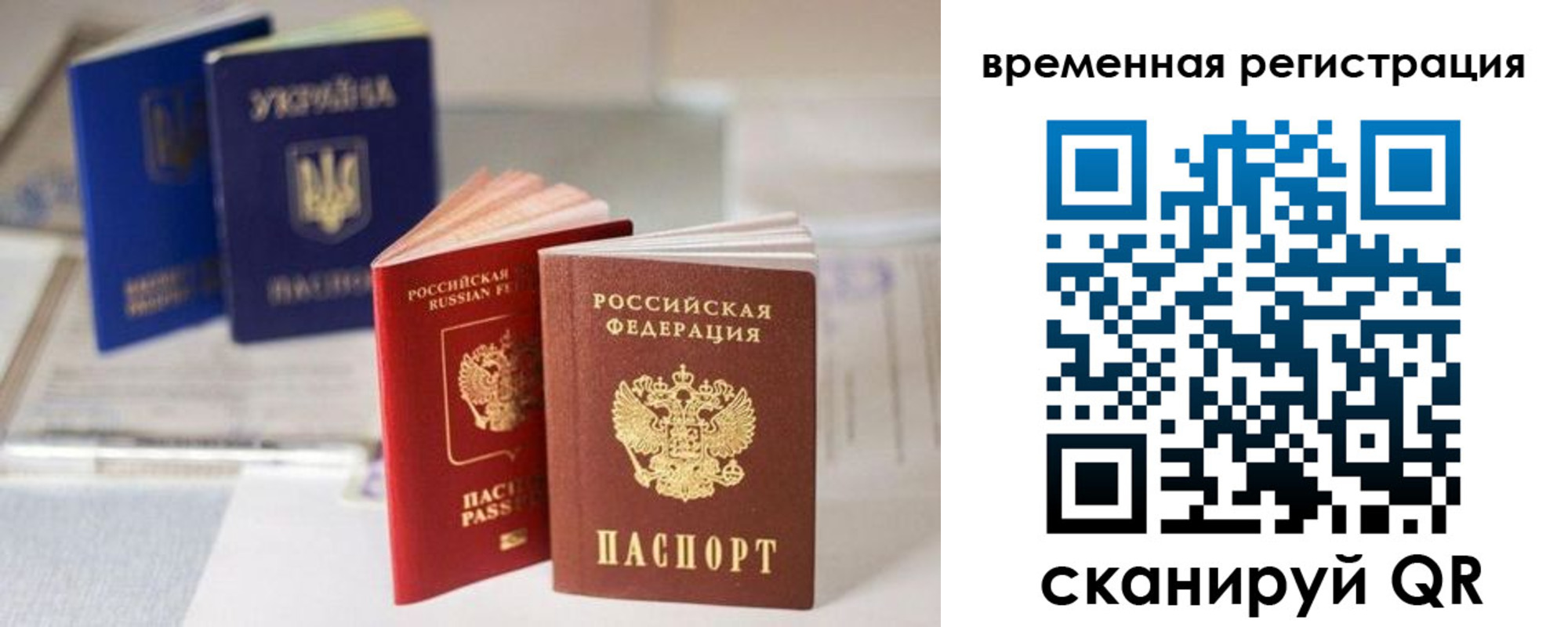 прописка поиск в Острогожске